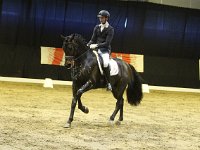 Don Tango 201113_1792